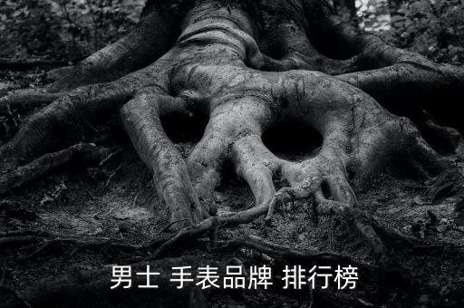 男士手表的十大品牌排行,男士手表排行榜:rr\n進(jìn)入前十名