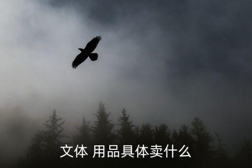 體育用品品類有哪些