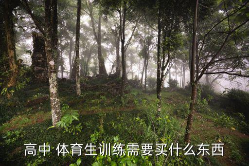 高中 體育生訓練需要買什么東西