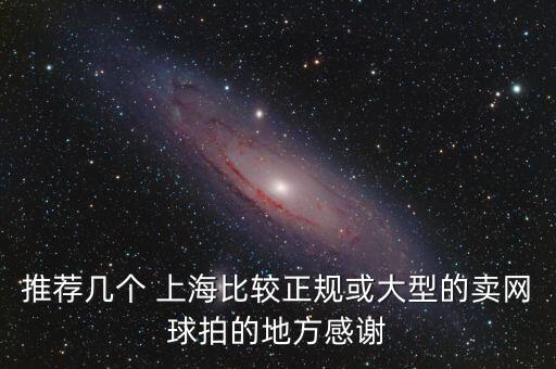 推薦幾個 上海比較正規(guī)或大型的賣網(wǎng)球拍的地方感謝