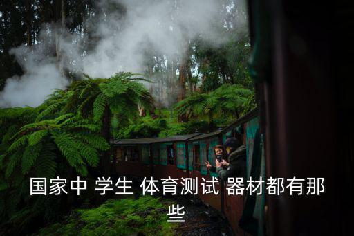 學(xué)生用的體育器材,中學(xué)生體能測試儀器出爐有何不同類型?