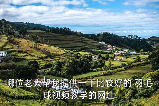 羽毛球體育用品哪個(gè)網(wǎng)站好,中國(guó)網(wǎng)上推薦一款國(guó)產(chǎn)羽球球拍網(wǎng)站