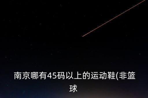  南京哪有45碼以上的運動鞋(非籃球