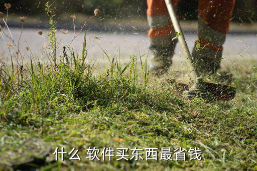 什么 軟件買東西最省錢