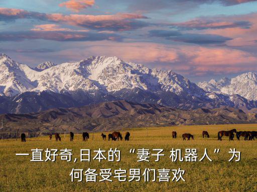 智能美女機(jī)器人,中國智能美女機(jī)器人