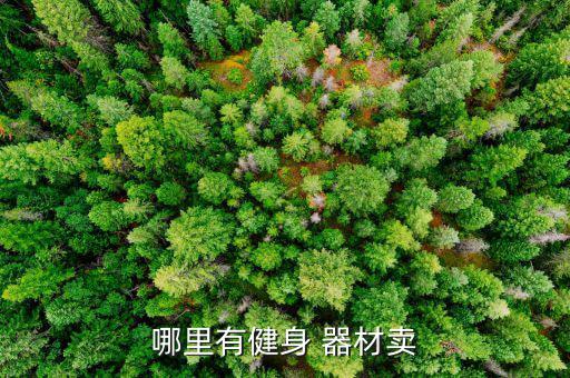 哪里有健身 器材賣