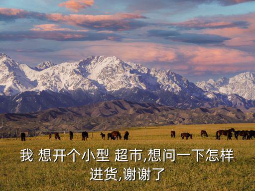 想開個(gè)小超市怎么入手,加盟冰雪蜜城大概多少錢