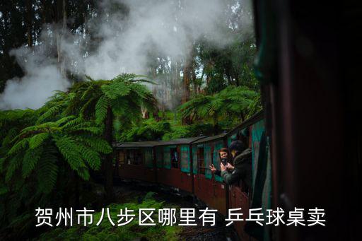 賀州市八步區(qū)哪里有 乒乓球桌賣