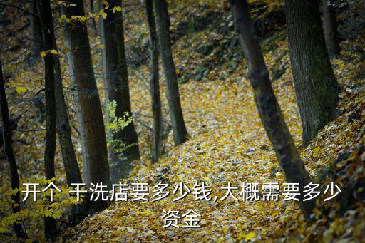 開干洗店大概投資多少錢,開干洗店需要什么東西?