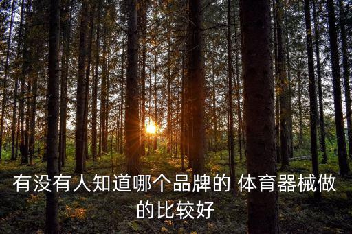 有沒(méi)有人知道哪個(gè)品牌的 體育器械做的比較好