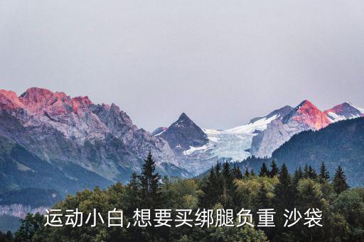 運動沙袋多少錢,體育用品沙袋多少錢