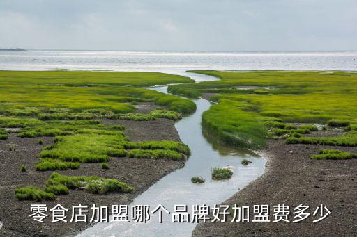 良品鋪子零食加盟店,選擇知名零食品牌加盟會有很大的投資優(yōu)勢