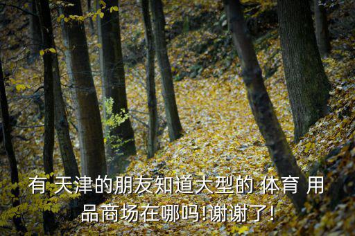 天津哪里賣(mài)體育用品的,天津文化用品批發(fā)市場(chǎng)有人賣(mài)!質(zhì)量不錯(cuò)