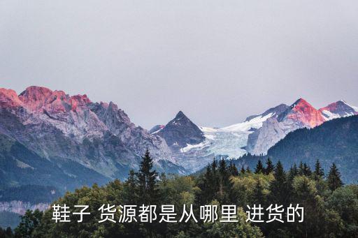 正品潮鞋貨源哪里進(jìn)貨,快團(tuán)團(tuán)貨源哪里來是正品嗎