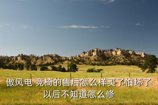 傲風(fēng)電 競(jìng)椅的售后怎么樣買(mǎi)了怕壞了以后不知道怎么修