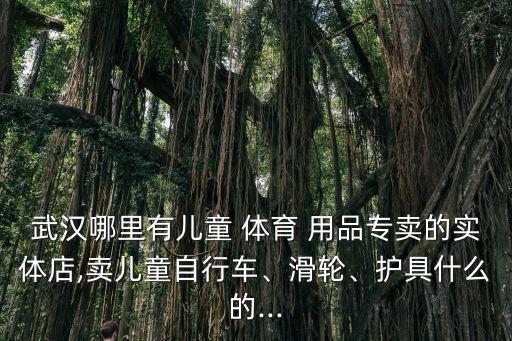 武漢哪里有兒童 體育 用品專賣的實(shí)體店,賣兒童自行車、滑輪、護(hù)具什么的...