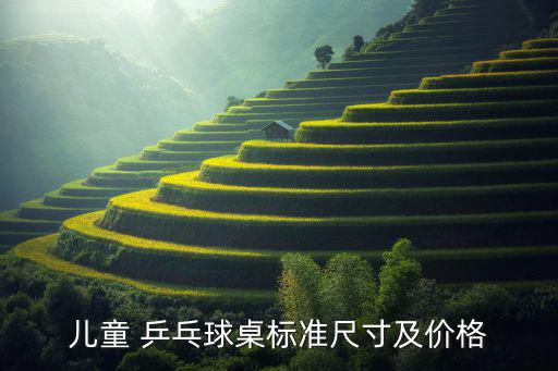 兒童 乒乓球桌標(biāo)準(zhǔn)尺寸及價(jià)格