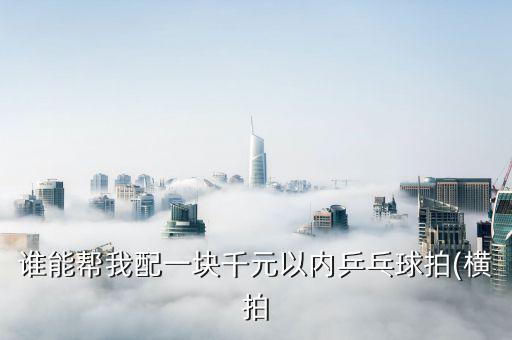 誰能幫我配一塊千元以內乒乓球拍(橫拍