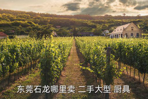 東莞石龍哪里賣(mài) 二手大型 廚具