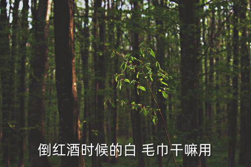 倒紅酒時(shí)候的白 毛巾干嘛用