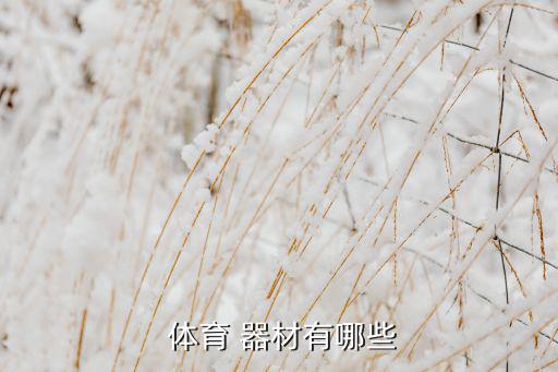  體育 器材有哪些