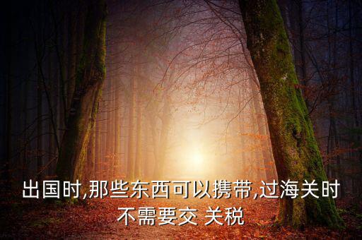 出國(guó)時(shí),那些東西可以攜帶,過海關(guān)時(shí)不需要交 關(guān)稅