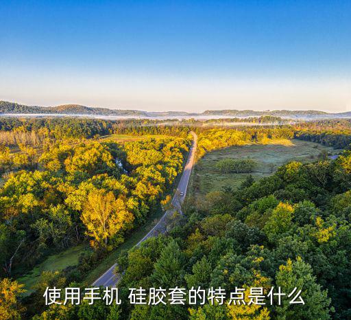 使用手機(jī) 硅膠套的特點(diǎn)是什么