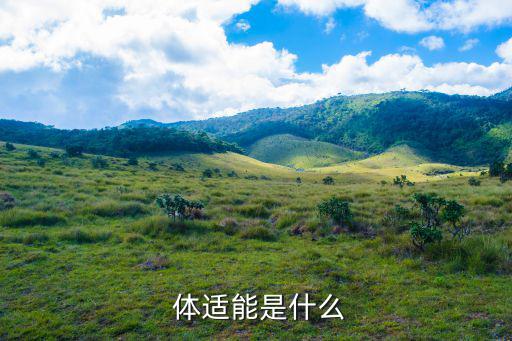  體適能是什么