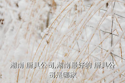 長(zhǎng)沙萬(wàn)佳廚具設(shè)備廠地址