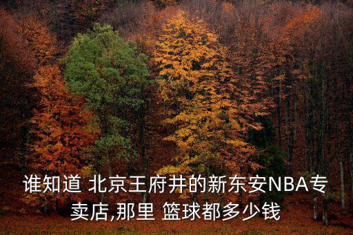 誰(shuí)知道 北京王府井的新東安NBA專賣店,那里 籃球都多少錢