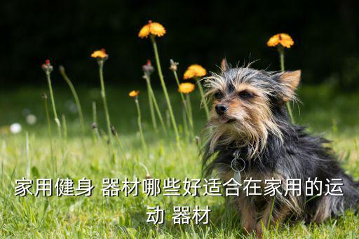 體育器材購置清單模板,體育健身器材選購指南（一）