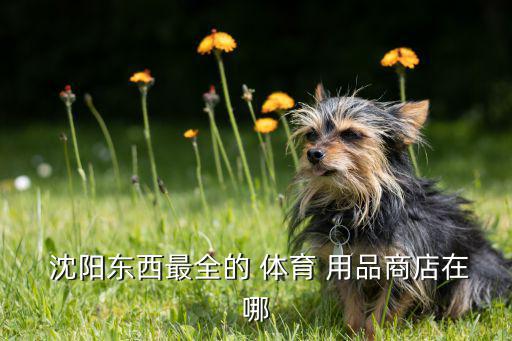  沈陽(yáng)東西最全的 體育 用品商店在哪