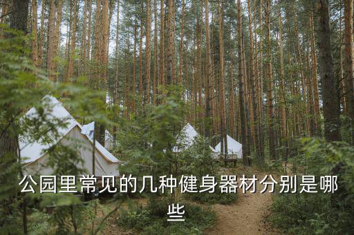 公園器械簡筆畫,以公園為主題的簡筆畫