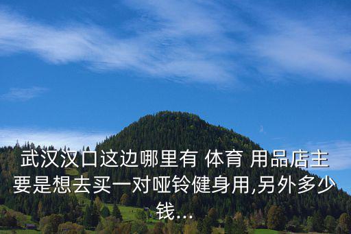 武漢漢口這邊哪里有 體育 用品店主要是想去買一對啞鈴健身用,另外多少錢...