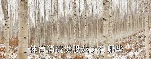  體育消費類股龍頭有哪些