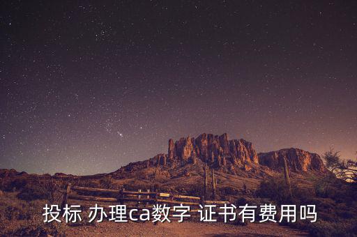  投標 辦理ca數(shù)字 證書有費用嗎