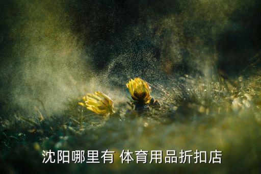  沈陽哪里有 體育用品折扣店