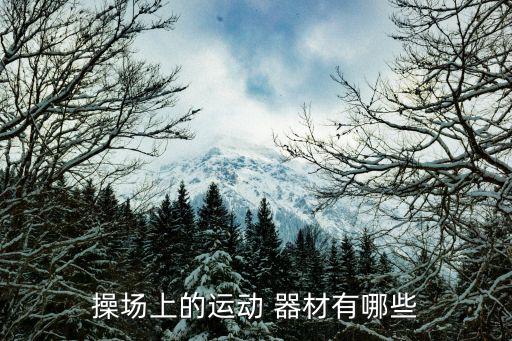 操場(chǎng)上的運(yùn)動(dòng) 器材有哪些