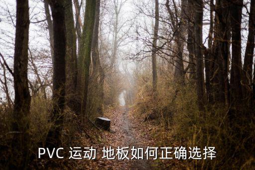 籃球場pvc運動地板