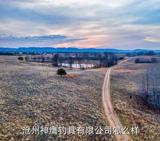 滄州體育用品企業(yè)有哪些,寧波體育用品生產企業(yè)有哪些