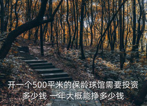 開(kāi)一個(gè)籃球館一年能賺多少錢(qián),建一個(gè)露天水泥場(chǎng)籃球碼需5萬(wàn)元