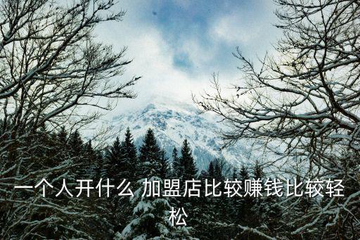 一個(gè)人開(kāi)什么 加盟店比較賺錢(qián)比較輕松