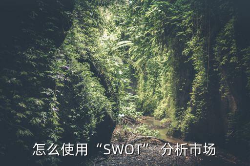怎么使用“SWOT” 分析市場(chǎng)