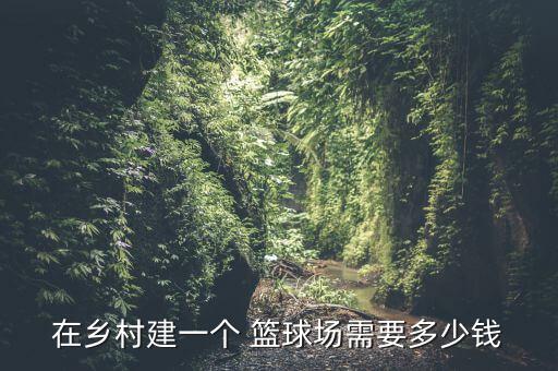 籃球場鋼結構頂棚造價,構建籃球場需要花多少錢?
