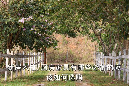 新房入住, 廚房家具有哪些必備的應(yīng)該如何選購