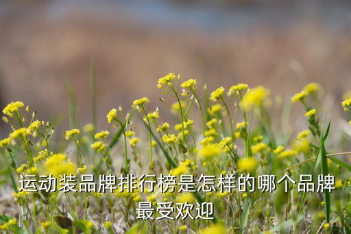  運動裝品牌排行榜是怎樣的哪個品牌最受歡迎