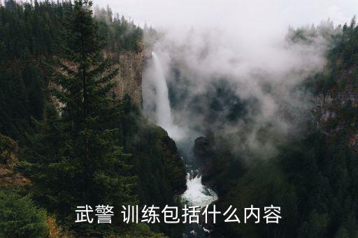 部隊(duì)軍事訓(xùn)練器材使用規(guī)范,新兵入伍首先要看你是什么兵種