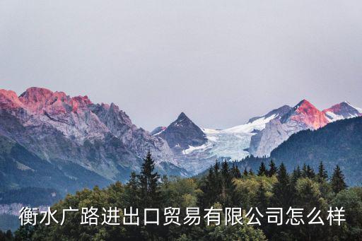  衡水廣路進(jìn)出口貿(mào)易有限公司怎么樣