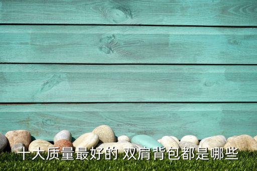 十大質(zhì)量最好的 雙肩背包都是哪些