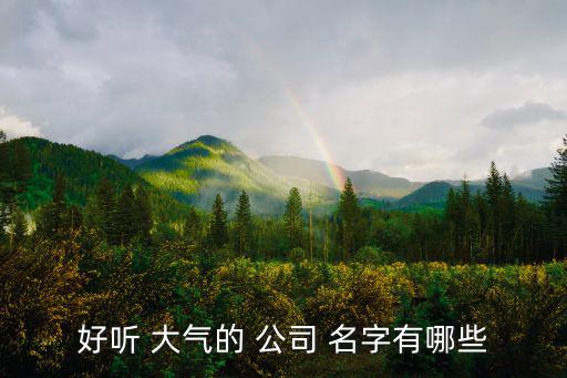 簡(jiǎn)單大氣公司名字,100簡(jiǎn)單大氣的科技公司名字